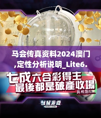 马会传真资料2024澳门,定性分析说明_Lite6.954