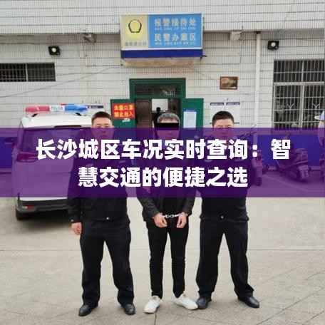 长沙城区车况实时查询:智慧交通的便捷之选