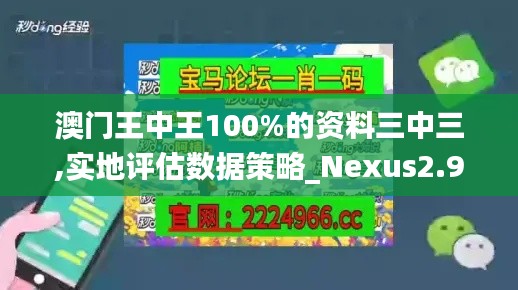 澳门王中王100%的资料三中三,实地评估数据策略_Nexus2.985