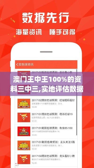 澳门王中王100%的资料三中三,实地评估数据策略_Nexus2.985
