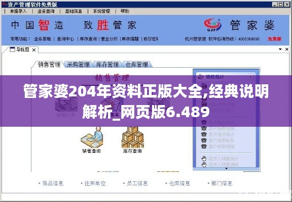 管家婆204年资料正版大全,经典说明解析_网页版6.489