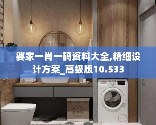 婆家一肖一码资料大全,精细设计方案_高级版10.533