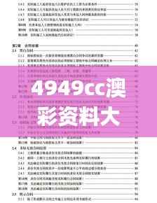 4949cc澳彩资料大全正版,专家解答解释定义_D版1.843