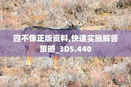 四不像正版资料,快速实施解答策略_3D5.440