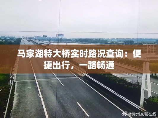 马家湖特大桥实时路况查询:便捷出行,一路畅通