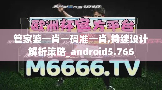 管家婆一肖一码准一肖,持续设计解析策略_android5.766