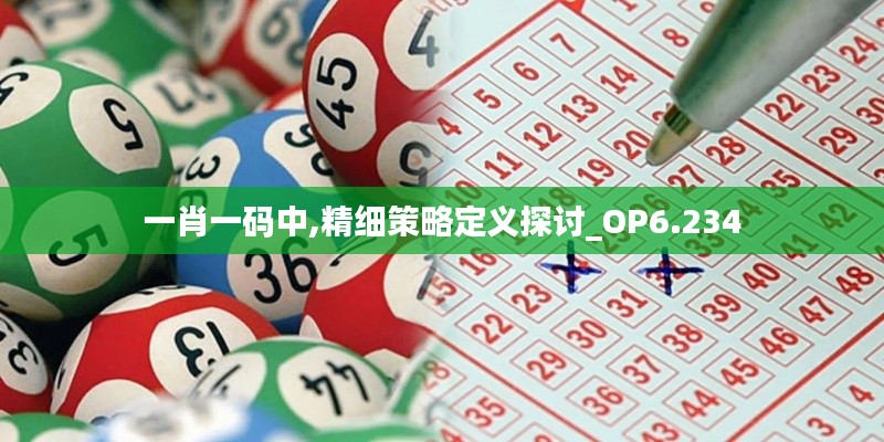 一肖一码中,精细策略定义探讨_OP6.234