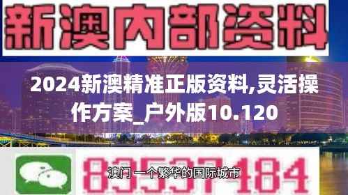 2024新澳精准正版资料,灵活操作方案_户外版10.120
