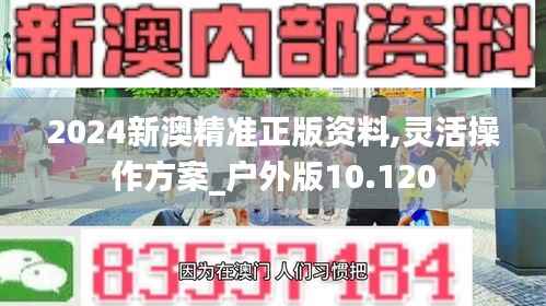 2024新澳精准正版资料,灵活操作方案_户外版10.120