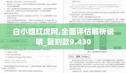 白小姐红虎网,全面评估解析说明_复刻款9.430