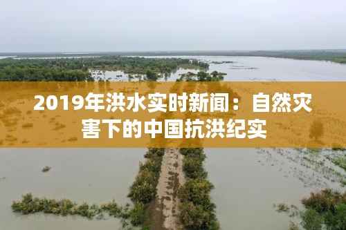 2019年洪水实时新闻:自然灾害下的中国抗洪纪实