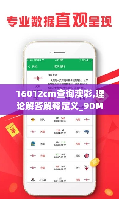16012cm查询澳彩,理论解答解释定义_9DM3.836