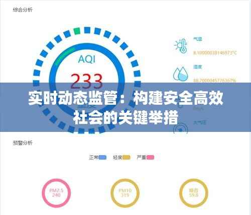 实时动态监管:构建安全高效社会的关键举措