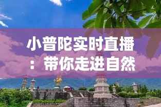 小普陀实时直播：带你走进自然与信仰的交融之地