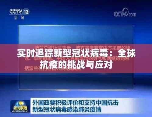 实时追踪新型冠状病毒:全球抗疫的挑战与应对