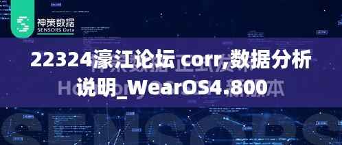 22324濠江论坛 corr,数据分析说明_WearOS4.800