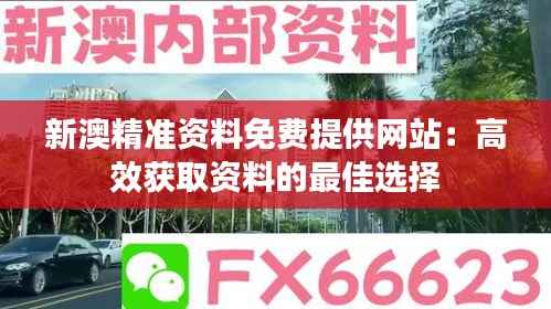 新澳精准资料免费提供网站：高效获取资料的最佳选择