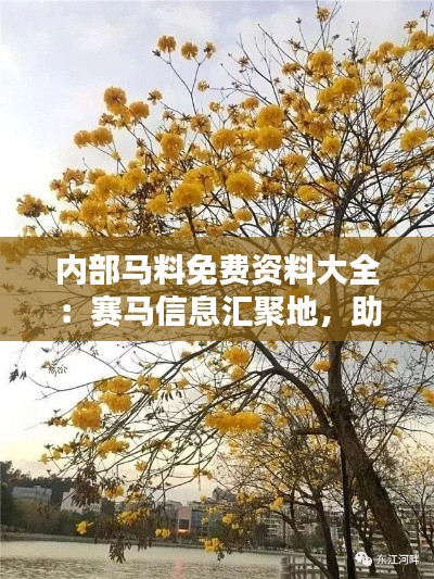 内部马料免费资料大全：赛马信息汇聚地，助你运势全开
