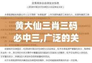 黄大仙三肖三码必中三,广泛的关注解释落实热议_钻石版110.438