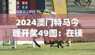 2024澳门特马今晚开奖49图:在镁光灯下捕捉赛马的灵魂