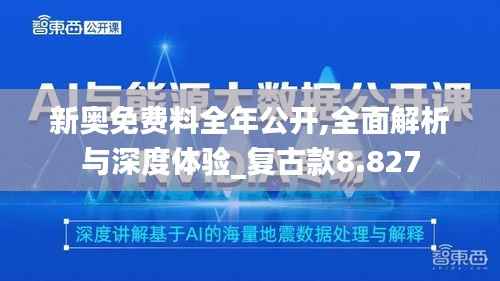 新奥免费料全年公开,全面解析与深度体验_复古款8.827