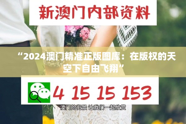 “2024澳门精准正版图库:在版权的天空下自由飞翔”