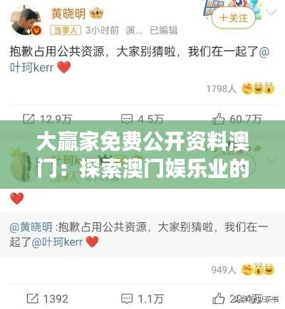 大赢家免费公开资料澳门:探索澳门娱乐业的致富之道