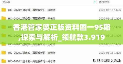 香港管家婆正版资料图一95期,探索与解析_领航款3.919