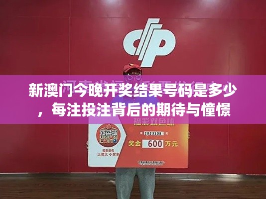 新澳门今晚开奖结果号码是多少，每注投注背后的期待与憧憬