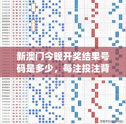 新澳门今晚开奖结果号码是多少,每注投注背后的期待与憧憬