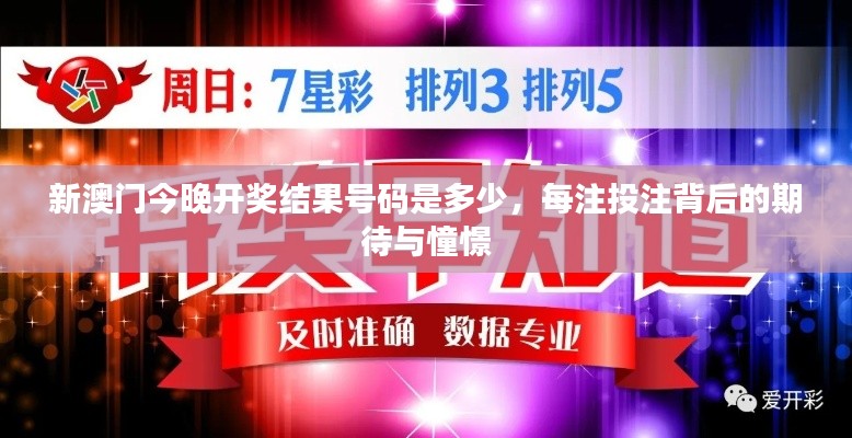 新澳门今晚开奖结果号码是多少,每注投注背后的期待与憧憬