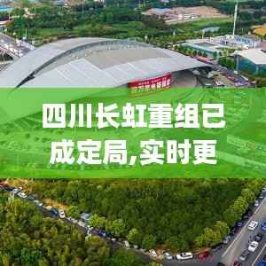 四川长虹重组已成定局,实时更新解析说明_V22.847