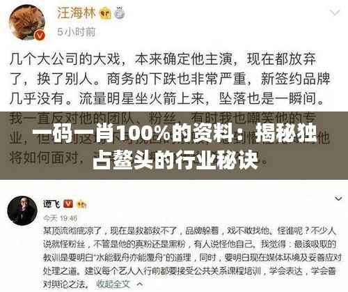 一码一肖100%的资料：揭秘独占鳌头的行业秘诀