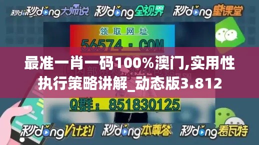 最准一肖一码100%澳门,实用性执行策略讲解_动态版3.812