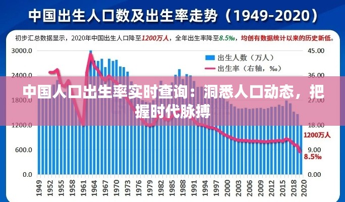 中国人口出生率实时查询：洞悉人口动态，把握时代脉搏