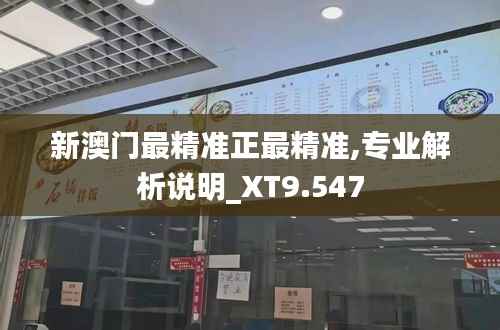 新澳门最精准正最精准,专业解析说明_XT9.547