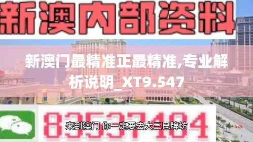新澳门最精准正最精准,专业解析说明_XT9.547