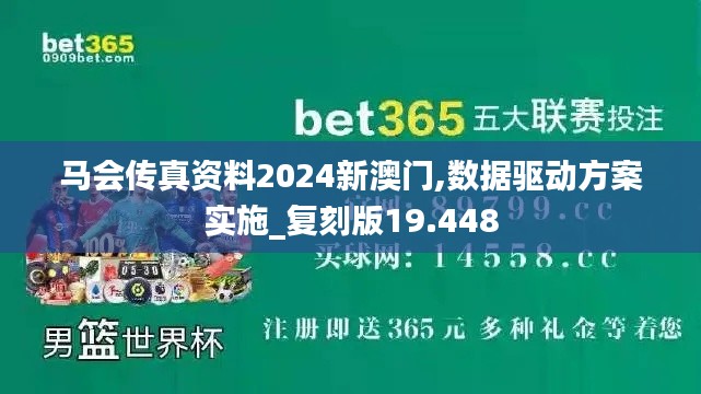 马会传真资料2024新澳门,数据驱动方案实施_复刻版19.448