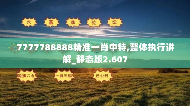 7777788888精准一肖中特,整体执行讲解_静态版2.607