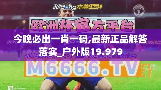 今晚必出一肖一码,最新正品解答落实_户外版19.979