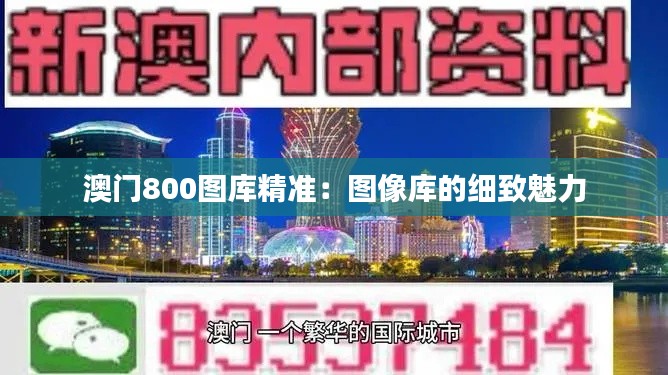 澳门800图库精准：图像库的细致魅力