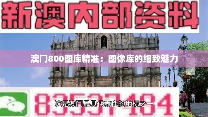 澳门800图库精准:图像库的细致魅力