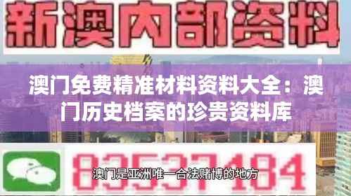 澳门免费精准材料资料大全:澳门历史档案的珍贵资料库