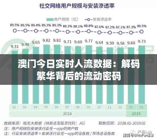 澳门今日实时人流数据：解码繁华背后的流动密码