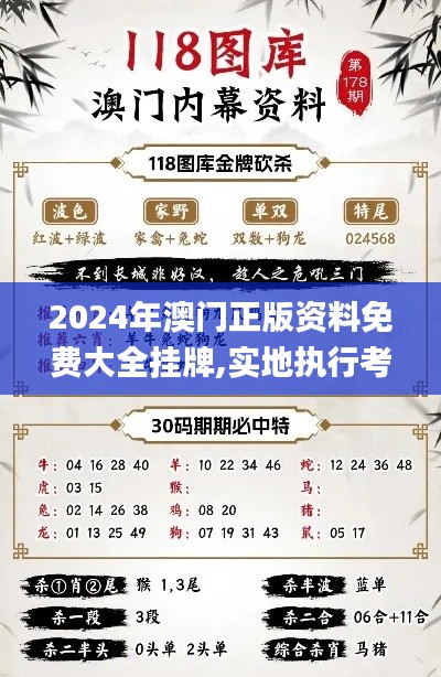 2024年澳门正版资料免费大全挂牌,实地执行考察设计_挑战款7.329