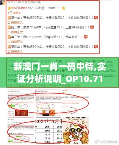 新澳门一肖一码中恃,实证分析说明_OP10.711