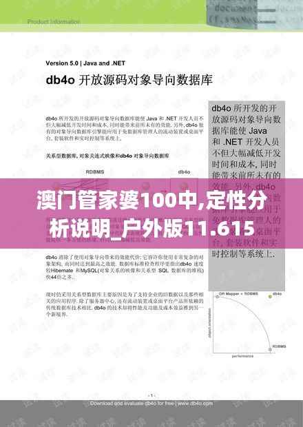 澳门管家婆100中,定性分析说明_户外版11.615