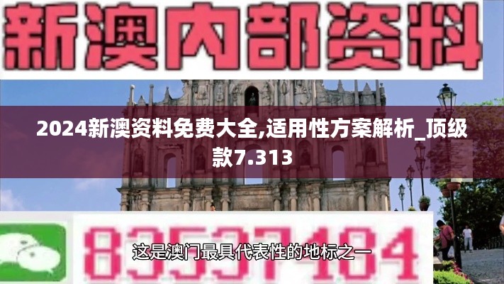 2024新澳资料免费大全,适用性方案解析_顶级款7.313