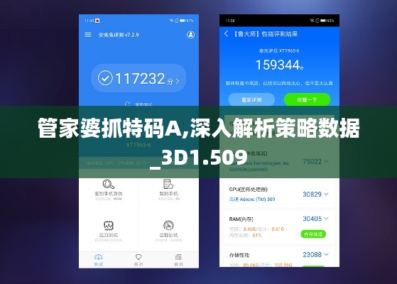 管家婆抓特码A,深入解析策略数据_3D1.509