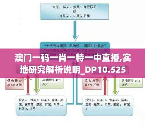 澳门一码一肖一特一中直播,实地研究解析说明_DP10.525